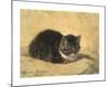 The Parson's Kitten-Henriette Ronner-Knip-Mounted Premium Giclee Print