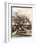 The Parsonage Garden at Nuenen in Winter-Vincent van Gogh-Framed Giclee Print