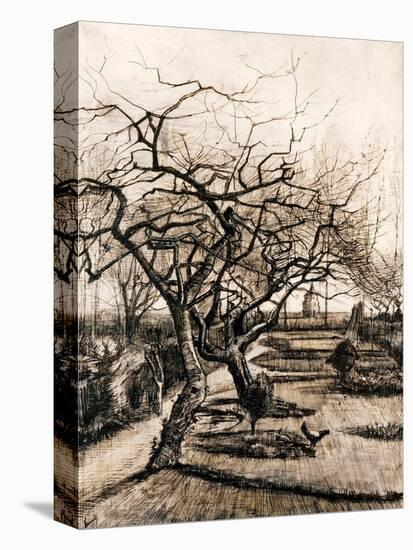The Parsonage Garden at Nuenen in Winter-Vincent van Gogh-Stretched Canvas