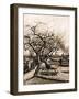 The Parsonage Garden at Nuenen in Winter-Vincent van Gogh-Framed Giclee Print