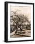 The Parsonage Garden at Nuenen in Winter-Vincent van Gogh-Framed Giclee Print