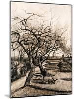The Parsonage Garden at Nuenen in Winter-Vincent van Gogh-Mounted Giclee Print