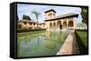 The Partal Gardens of Alhambra in Granada-Javier Sanchez Mingorance-Framed Stretched Canvas