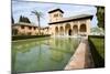 The Partal Gardens of Alhambra in Granada-Javier Sanchez Mingorance-Mounted Photographic Print