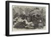 The Partridge Covey-null-Framed Giclee Print