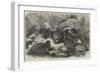 The Partridge Covey-null-Framed Giclee Print