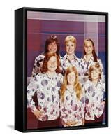 The Partridge Family-null-Framed Stretched Canvas