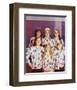 The Partridge Family-null-Framed Photo