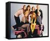 The Partridge Family-null-Framed Stretched Canvas