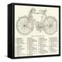 The Parts of a Bicycle-null-Framed Stretched Canvas