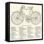 The Parts of a Bicycle-null-Framed Stretched Canvas