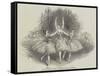 The Pas De Trois Des Graces, at Her Majesty's Theatre-null-Framed Stretched Canvas