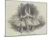 The Pas De Trois Des Graces, at Her Majesty's Theatre-null-Mounted Giclee Print