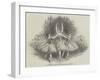 The Pas De Trois Des Graces, at Her Majesty's Theatre-null-Framed Giclee Print