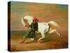 The Pasha's Pride-Alfred De Dreux-Stretched Canvas