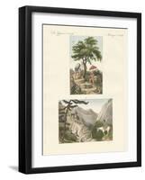 The Pass of Honda on the Way to Bogota and the Pass of Quindio-null-Framed Giclee Print