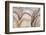 The Passage Of Time-Doug Chinnery-Framed Photographic Print