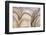 The Passage Of Time-Doug Chinnery-Framed Photographic Print