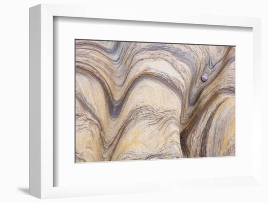 The Passage Of Time-Doug Chinnery-Framed Photographic Print