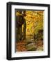 The Passage to Peace-Doug Chinnery-Framed Photographic Print