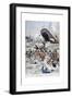 The Passenger Liner 'Liban' Sinking after Colliding with Another Ship, 1903-null-Framed Giclee Print