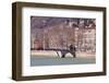 The Passerelle Saint Georges and the River Saone, Lyon, Rhone-Alpes, France, Europe .-Julian Elliott-Framed Photographic Print