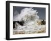 The Passion-Veselin Malinov-Framed Photographic Print