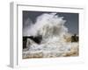 The Passion-Veselin Malinov-Framed Photographic Print