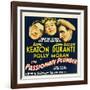 THE PASSIONATE PLUMBER, from left: Buster Keaton, Polly Moran, Jimmy Durante, 1932.-null-Framed Art Print