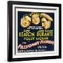 THE PASSIONATE PLUMBER, from left: Buster Keaton, Polly Moran, Jimmy Durante, 1932.-null-Framed Art Print