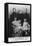 The Past, the Present and the Future of Belgium, 1905-null-Framed Stretched Canvas