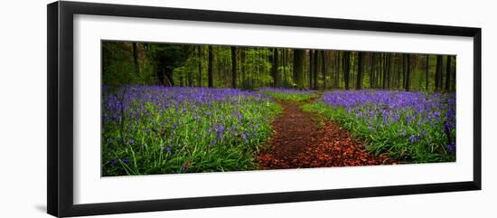The Path Divided-Doug Chinnery-Framed Premium Photographic Print
