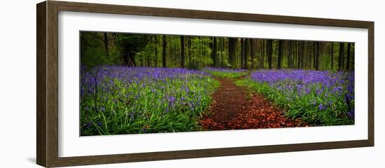 The Path Divided-Doug Chinnery-Framed Photographic Print