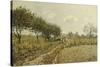 The Path in the Countryside; Le Chemin Dans La Campagne, 1876-Alfred Sisley-Stretched Canvas