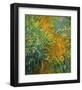 The Path in the Iris Garden-Claude Monet-Framed Art Print