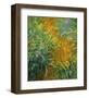 The Path in the Iris Garden-Claude Monet-Framed Art Print