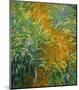 The Path in the Iris Garden-Claude Monet-Mounted Art Print