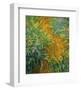 The Path in the Iris Garden-Claude Monet-Framed Art Print