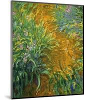 The Path in the Iris Garden-Claude Monet-Mounted Art Print