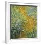 The Path in the Iris Garden-Claude Monet-Framed Art Print