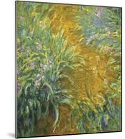 The Path in the Iris Garden-Claude Monet-Mounted Art Print
