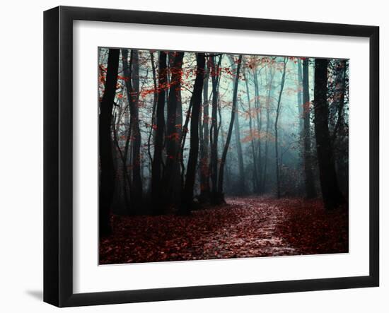 The Path Not Take-Philippe Manguin-Framed Photographic Print