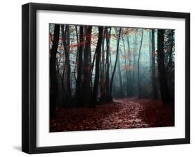 The Path Not Take-Philippe Manguin-Framed Photographic Print