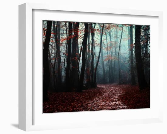 The Path Not Take-Philippe Manguin-Framed Photographic Print