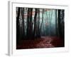 The Path Not Take-Philippe Manguin-Framed Photographic Print