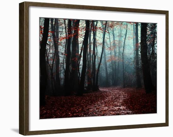 The Path Not Take-Philippe Manguin-Framed Photographic Print