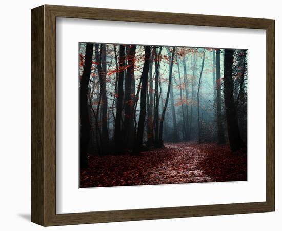 The Path Not Take-Philippe Manguin-Framed Photographic Print