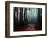 The Path Not Take-Philippe Manguin-Framed Photographic Print