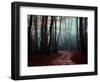 The Path Not Take-Philippe Manguin-Framed Photographic Print