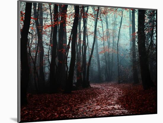 The Path Not Take-Philippe Manguin-Mounted Photographic Print